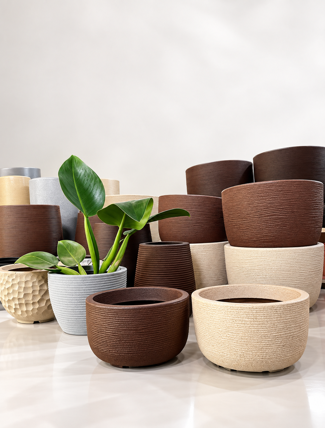 Exposição de Vasos Texturizados e Planta Verde